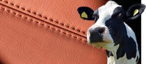 Cowhide Leather