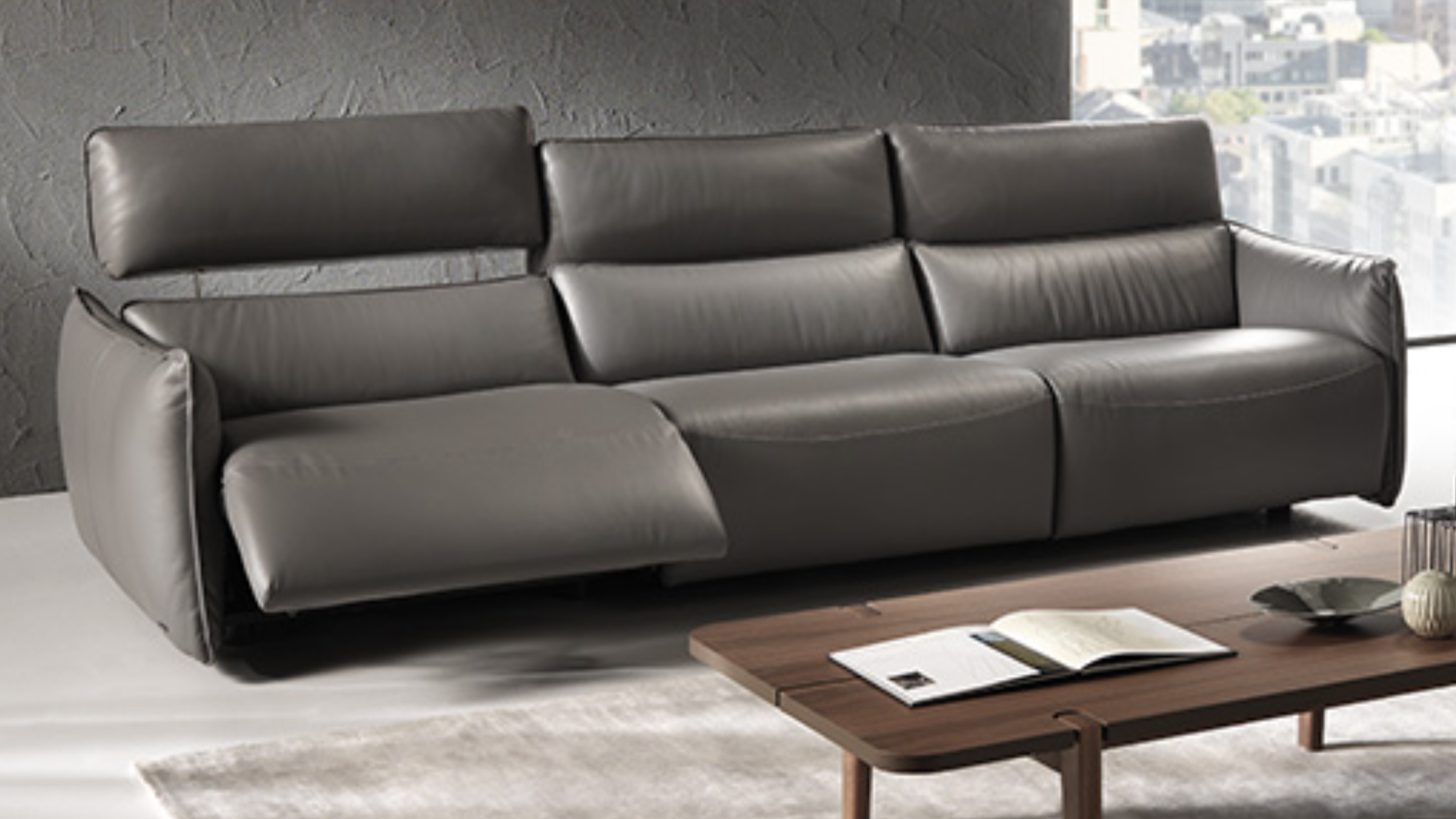 Leather Sleeper Sofa